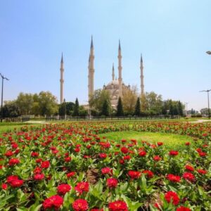 7-Day Turkish Experience: Explore History, Nature, and Culture